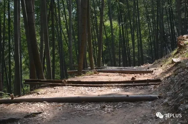 【城史】一个山村的小历史